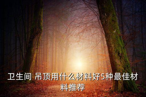 衛(wèi)生間 吊頂用什么材料好5種最佳材料推薦