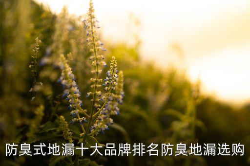 潛水艇衛(wèi)浴是哪個國家的品牌,海立衛(wèi)浴和潛水艇哪個好