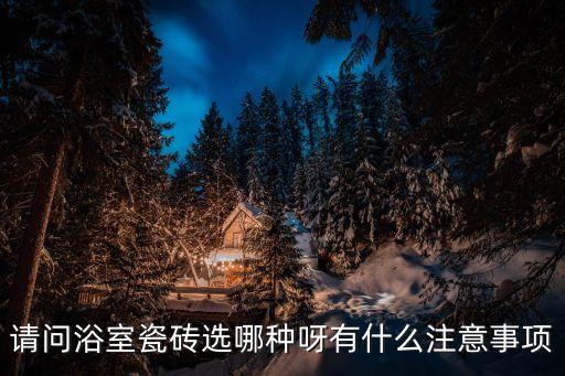 衛(wèi)浴白磚全鋪好嗎圖片
