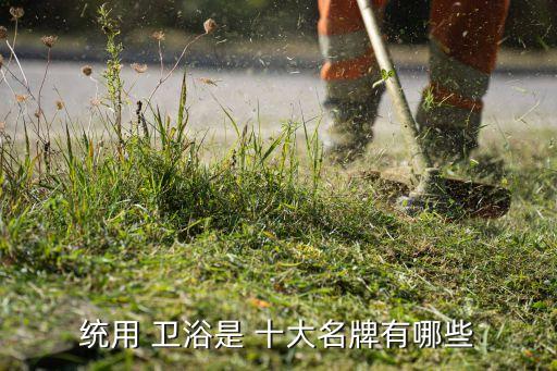 統(tǒng)用 衛(wèi)浴是 十大名牌有哪些