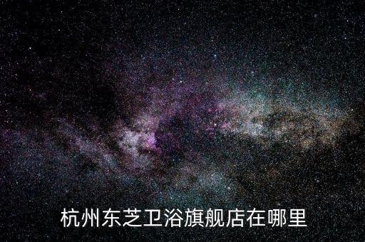  杭州東芝衛(wèi)浴旗艦店在哪里