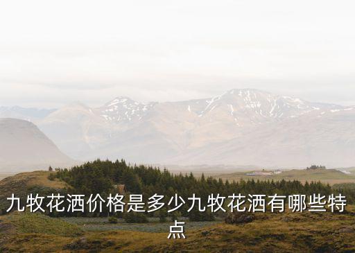 淋浴衛(wèi)浴套裝圖片及價(jià)格,大白鯊衛(wèi)浴花灑淋浴套裝