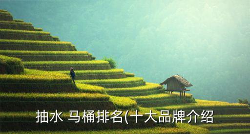 邳州馬桶衛(wèi)浴特價(jià)店電話