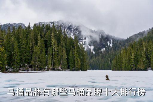 馬桶品牌有哪些馬桶品牌十大排行榜