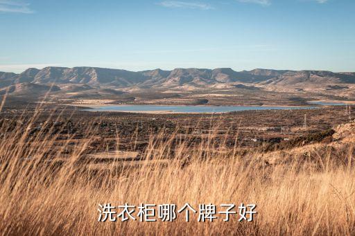 洗衣柜哪個(gè)牌子好