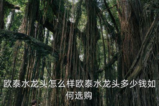 歐泰水龍頭怎么樣歐泰水龍頭多少錢如何選購