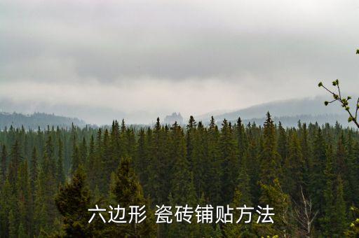 衛(wèi)浴瓷磚六邊形圖片效果圖,正六邊形瓷磚貼出來的圖片