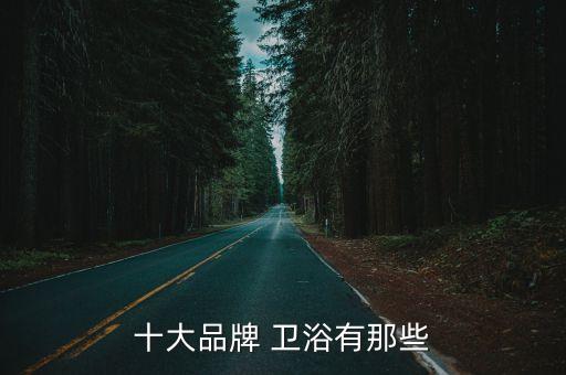 十大品牌 衛(wèi)浴有那些