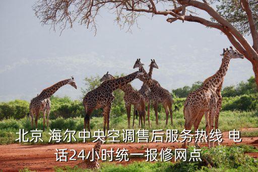 北京 海爾中央空調(diào)售后服務(wù)熱線 電話24小時統(tǒng)一報修網(wǎng)點