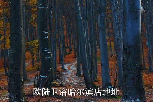 歐陸衛(wèi)浴哈爾濱店地址