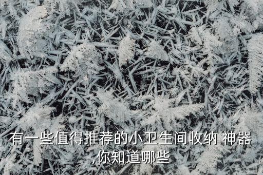 有一些值得推薦的小衛(wèi)生間收納 神器,你知道哪些