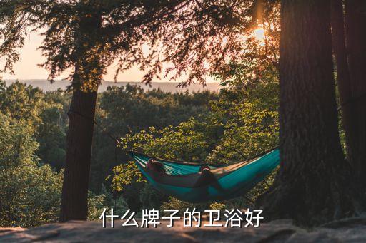臥室有衛(wèi)浴推薦品牌嗎知乎