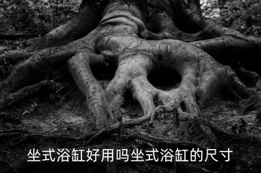 衛(wèi)浴價格牌如何擺放好看圖片
