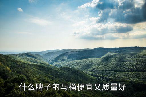 什么牌子的馬桶便宜又質(zhì)量好