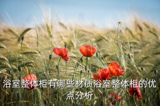 新中式衛(wèi)浴柜圖片大全集,中式衛(wèi)浴門圖片