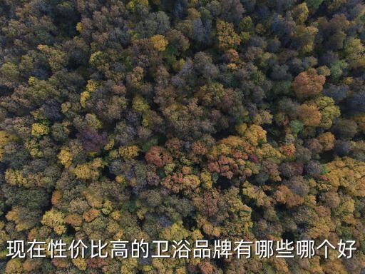 現(xiàn)在性價(jià)比高的衛(wèi)浴品牌有哪些哪個(gè)好