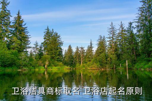 蒼蒼衛(wèi)浴品牌,中國十大衛(wèi)浴品牌有哪些