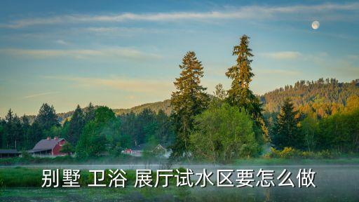 別墅 衛(wèi)浴 展廳試水區(qū)要怎么做