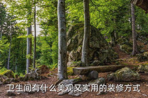 衛(wèi)生間有什么美觀又實用的裝修方式