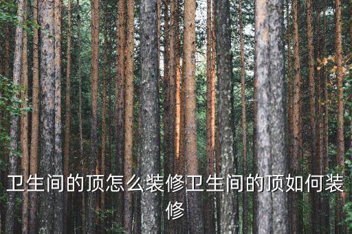 衛(wèi)生間的頂怎么裝修衛(wèi)生間的頂如何裝修