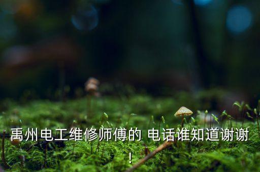 禹州電工維修師傅的 電話誰知道謝謝!