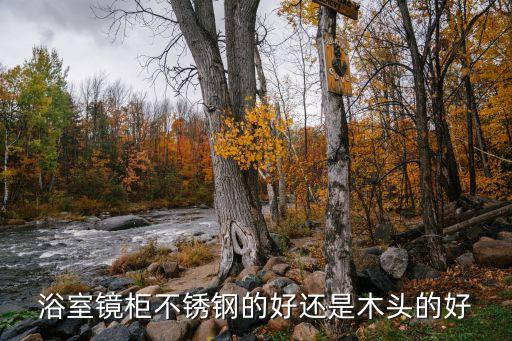 衛(wèi)浴鏡柜漸變色效果圖片
