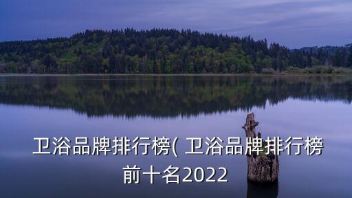  衛(wèi)浴品牌排行榜( 衛(wèi)浴品牌排行榜前十名2022