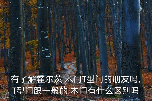 有了解霍爾茨 木門T型門的朋友嗎,T型門跟一般的 木門有什么區(qū)別嗎