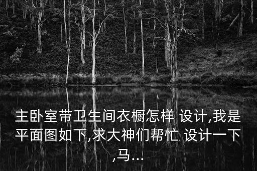 衣柜衛(wèi)浴設(shè)計(jì)圖片欣賞圖,房間衣柜隔斷設(shè)計(jì)圖片欣賞