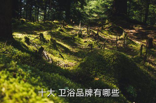 衛(wèi)浴 進口品牌十大排名,品牌衛(wèi)浴十大名牌排名有哪些
