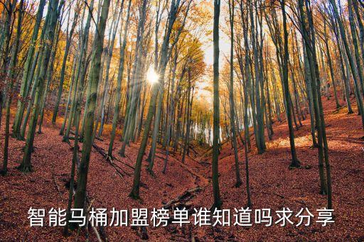 智能馬桶加盟榜單誰(shuí)知道嗎求分享