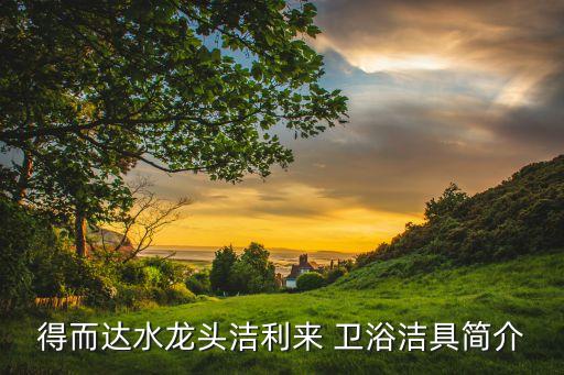 得而達水龍頭潔利來 衛(wèi)浴潔具簡介