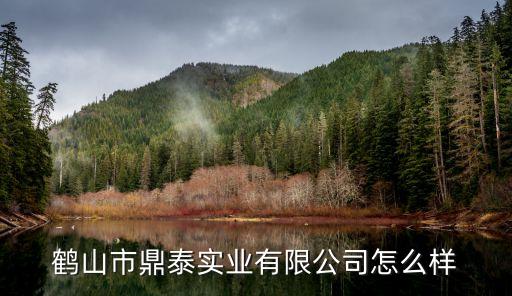 鶴山市鼎泰實業(yè)有限公司怎么樣