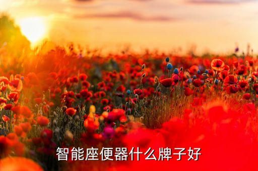 智能座便器什么牌子好