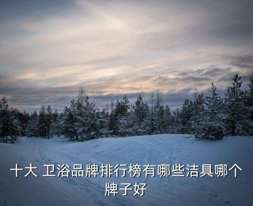 十大 衛(wèi)浴品牌排行榜有哪些潔具哪個(gè)牌子好