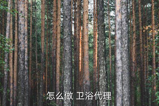 怎么做 衛(wèi)浴代理