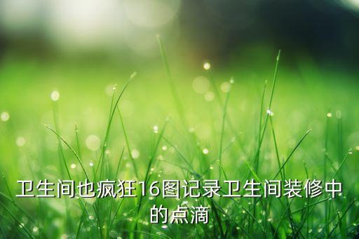 衛(wèi)生間也瘋狂16圖記錄衛(wèi)生間裝修中的點(diǎn)滴