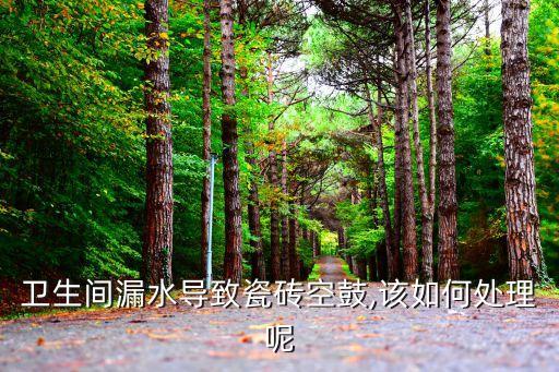 衛(wèi)浴間的困擾怎么解決圖片
