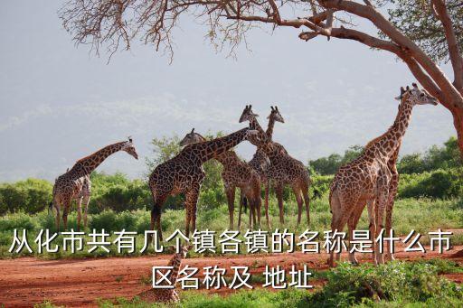 從化市共有幾個(gè)鎮(zhèn)各鎮(zhèn)的名稱是什么市區(qū)名稱及 地址