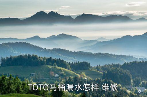 TOTO馬桶漏水怎樣 維修