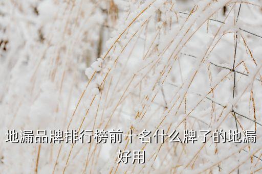 地漏品牌排行榜前十名什么牌子的地漏好用