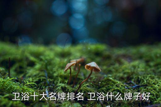 牧馬人衛(wèi)浴是什么品牌