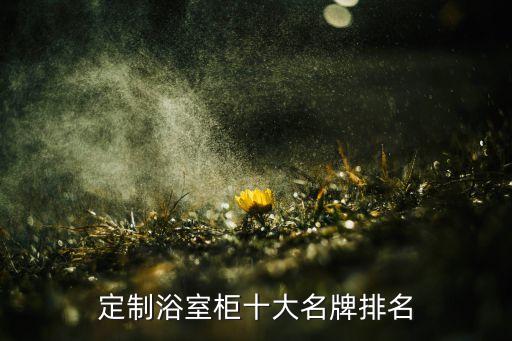 定制浴室柜十大名牌排名
