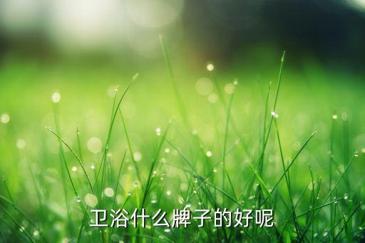 衛(wèi)浴什么牌子的好呢