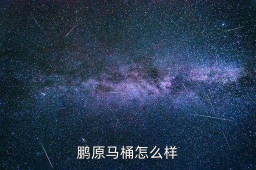 鵬原馬桶怎么樣