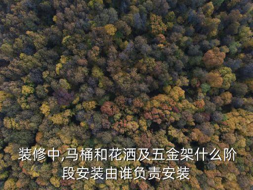  裝修中,馬桶和花灑及五金架什么階段安裝由誰負(fù)責(zé)安裝