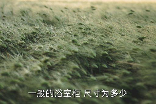 一般的浴室柜 尺寸為多少