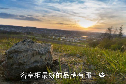衛(wèi)浴柜哪個(gè)品牌質(zhì)量好,衛(wèi)浴買哪個(gè)品牌既質(zhì)量又實(shí)惠
