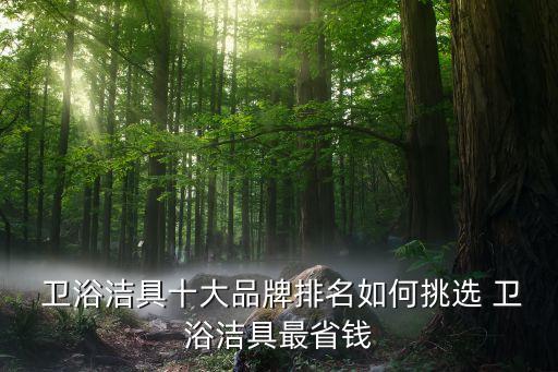  衛(wèi)浴潔具十大品牌排名如何挑選 衛(wèi)浴潔具最省錢