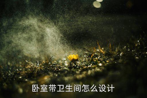 臥室?guī)l(wèi)生間怎么設計